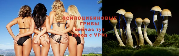 винт Пролетарск