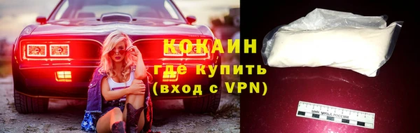 стаф Приозерск