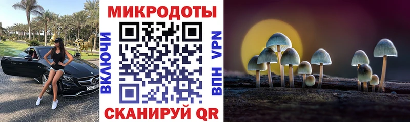 закладка  Фрязино  Псилоцибиновые грибы MAGIC MUSHROOMS 