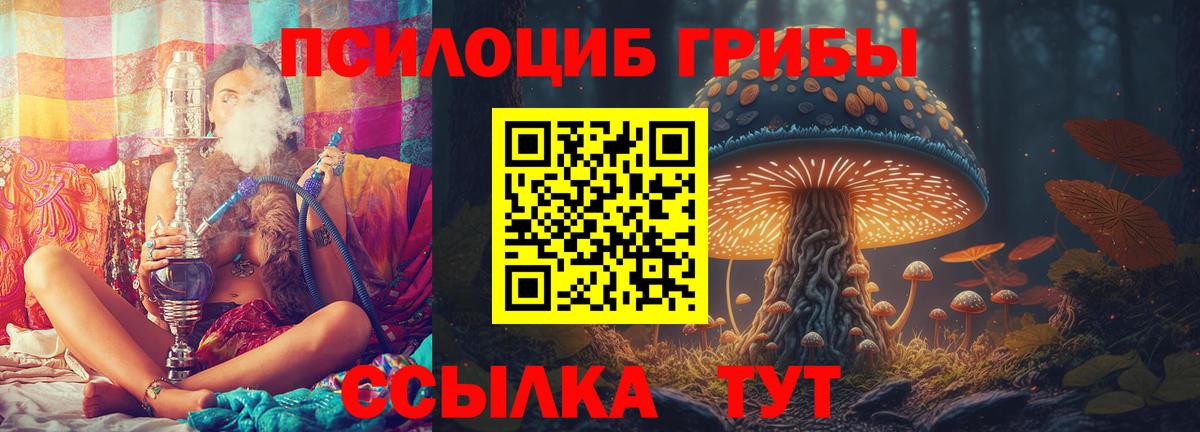 Галлюциногенные грибы GOLDEN TEACHER Фрязино